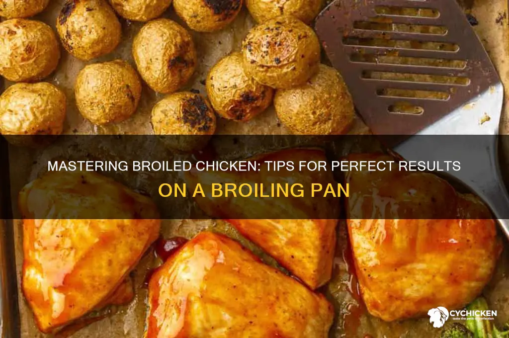 how to broil chicken on broiling pan