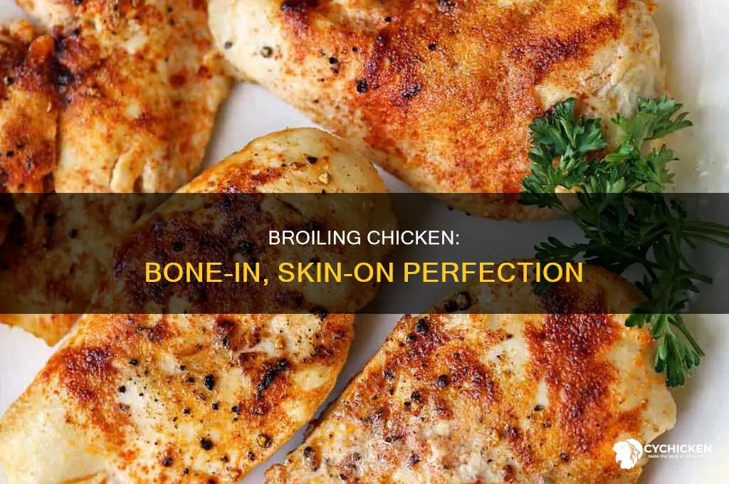 how to broil chicken with bone and skin