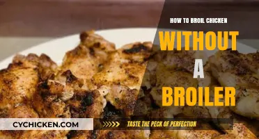 Master Broiling Chicken: Simple Techniques Without a Broiler