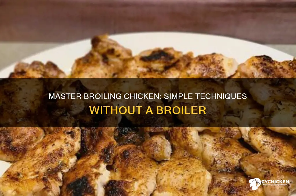 how to broil chicken without a broiler