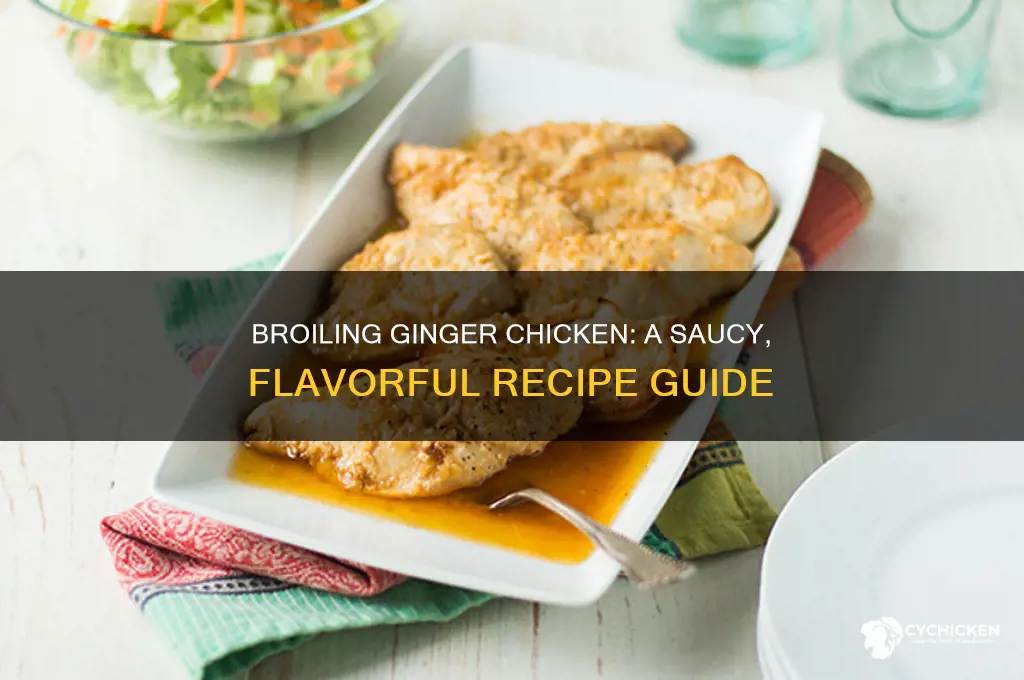 how to broil ginger chicken with sauce