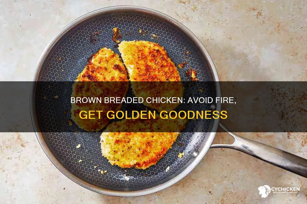 how to brown breaded chicken without starting fire