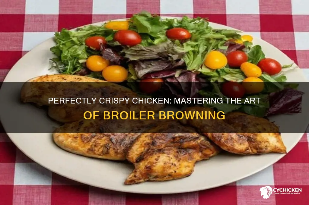 how to brown chicken in the broiler