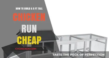 Building a Tall Chicken Run on a Budget