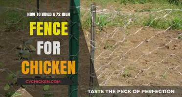 Building a Tall Fence to Keep Chickens Safe