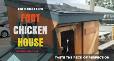 Constructing a Spacious Chicken House: 8 x 16 Feet of Cluck-tastic Comfort