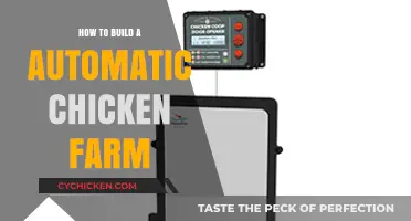 Automated Chicken Farming: Efficient Steps to Build Your Self-Sustaining Coop