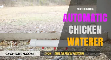 DIY Automatic Chicken Waterer: Simple Steps for Continuous Hydration