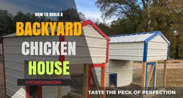 DIY Backyard Chicken Coop: Easy Steps for Happy Hens