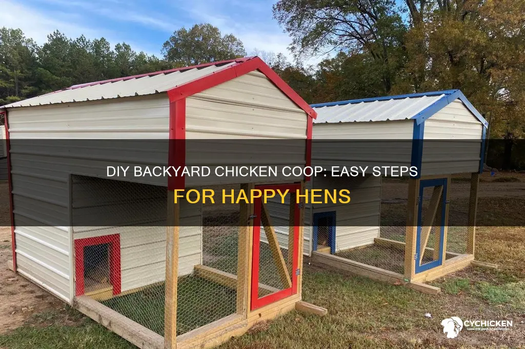 how to build a backyard chicken house