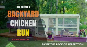 DIY Backyard Chicken Run: Easy Steps for Happy, Safe Hens