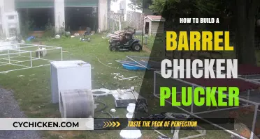 DIY Barrel Chicken Plucker: Step-by-Step Guide to Building Your Own