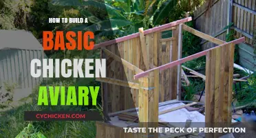 Building a Simple Chicken Aviary: Essential Steps for Beginners