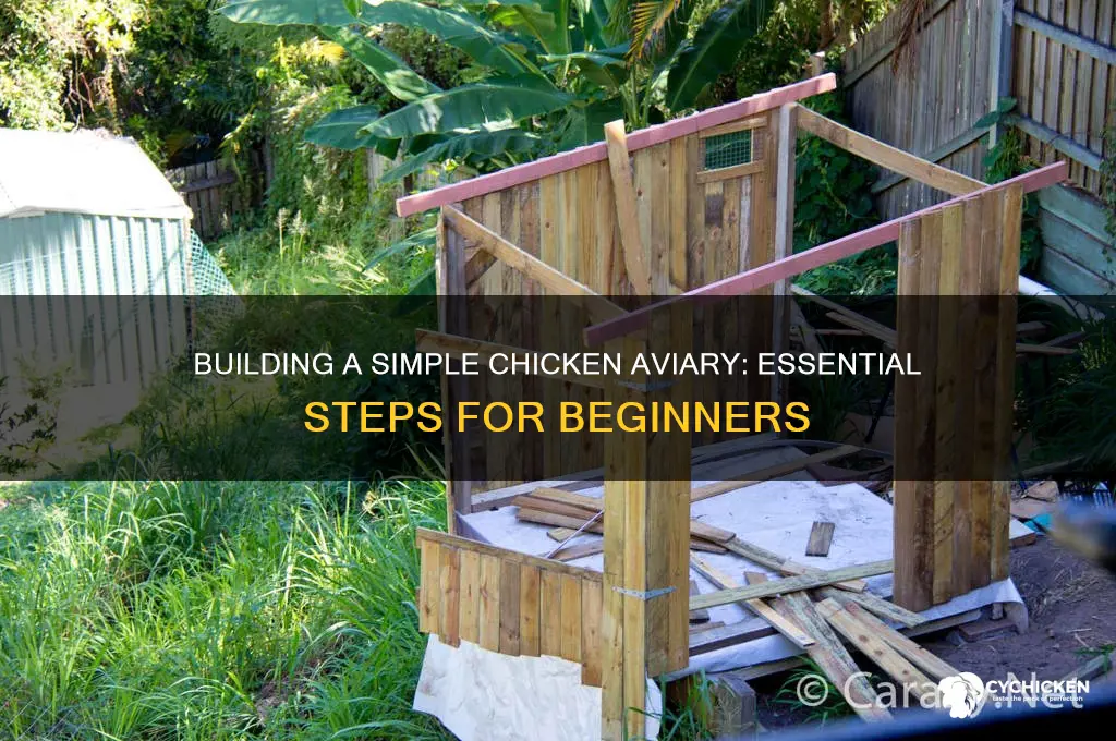 how to build a basic chicken aviary