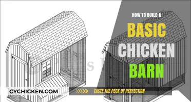 Building Your First Chicken Barn: Simple Steps for Beginners