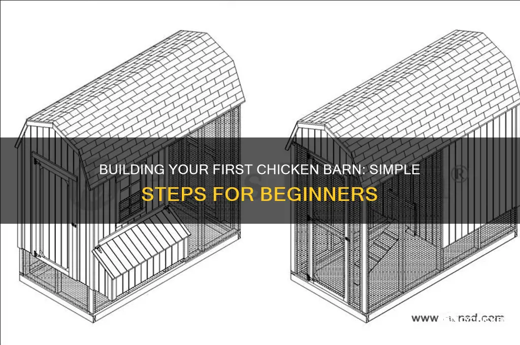 how to build a basic chicken barn