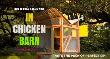 Constructing a Walk-In Chicken Barn: A Step-by-Step Guide