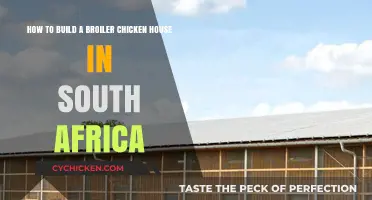 Constructing a Broiler Chicken House in South Africa