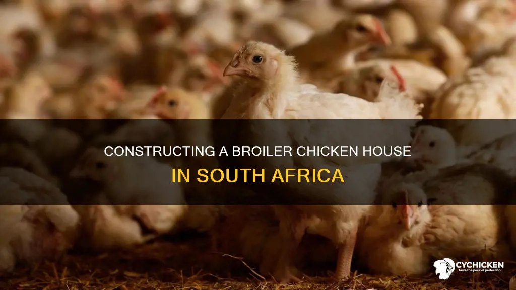 how to build a broiler chicken house in south africa