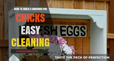 Easy-Clean Chick Brooder: DIY Guide