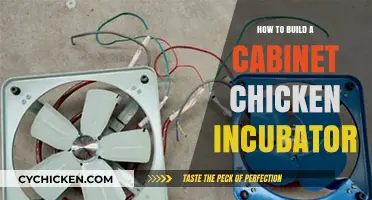 DIY Cabinet Chicken Incubator: Step-by-Step Guide for Hatching Success