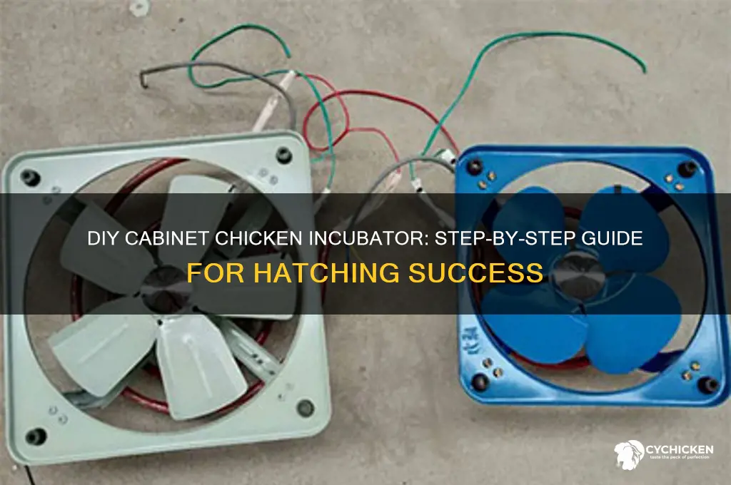 how to build a cabinet chicken incubator