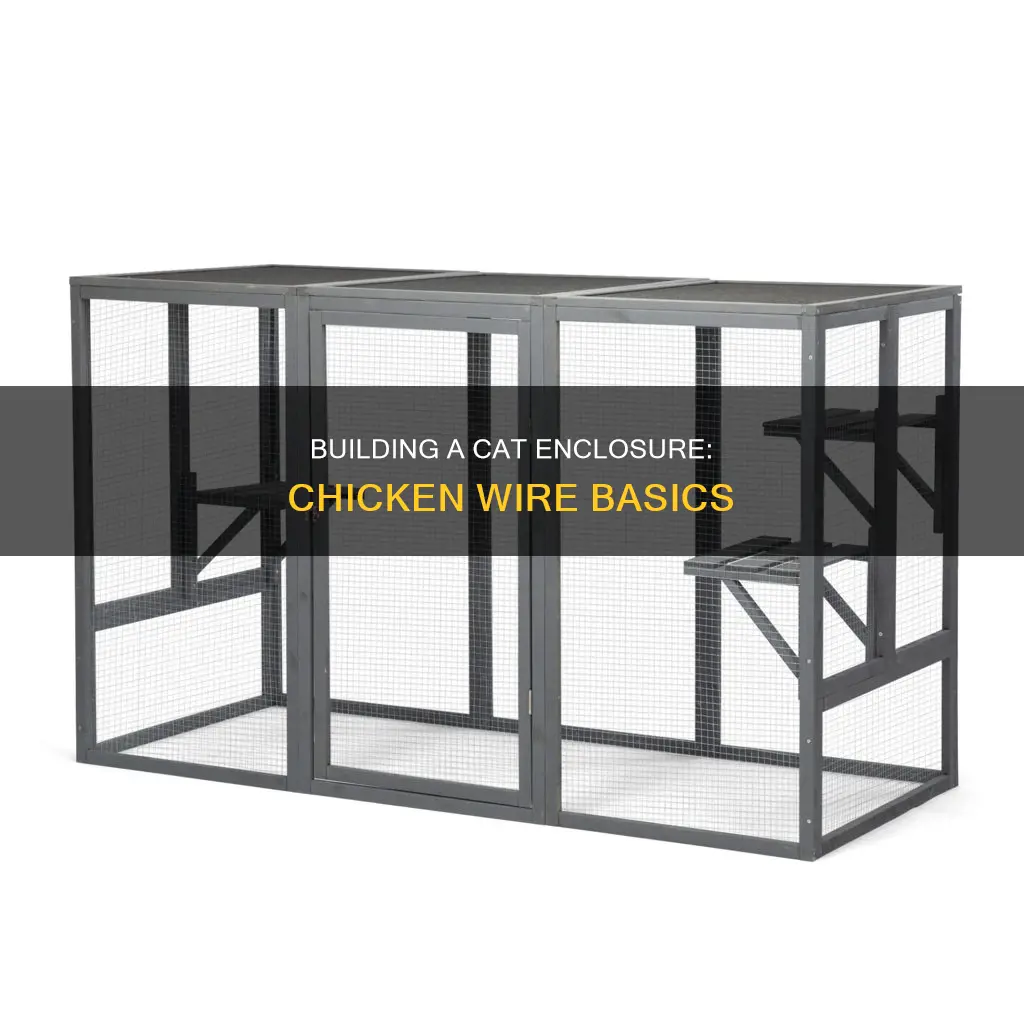 how to build a cat enclosure with chicken wire