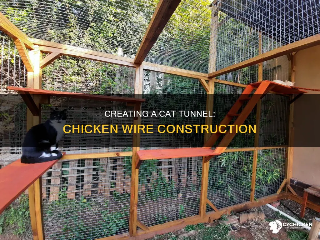 how to build a cat tunnel with chicken wire