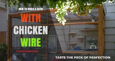 Constructing a Catio: Chicken Wire Basics