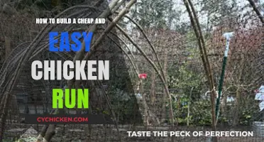 Constructing a Simple, Affordable Chicken Run