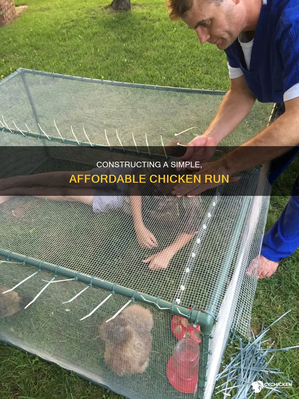 how to build a cheap and easy chicken run