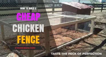 Affordable DIY Chicken Fence: Easy Steps for Secure Poultry Protection