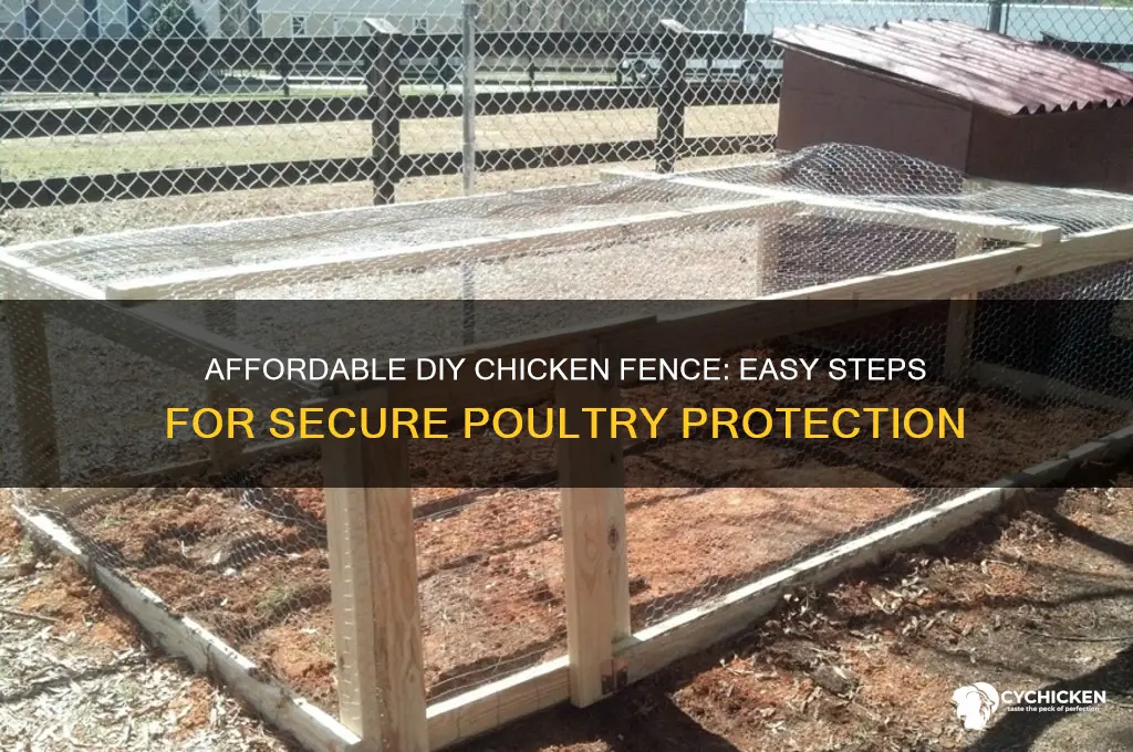 how to build a cheap chicken fence
