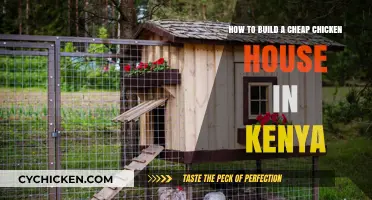 Building a Low-Cost Chicken Coop in Kenya