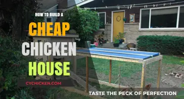 Affordable DIY Chicken Coop: Simple Steps for a Budget-Friendly Build