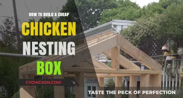 Affordable Chicken Nesting Box: DIY Guide