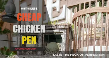 Affordable DIY Chicken Pen: Simple Steps for Budget-Friendly Poultry Housing