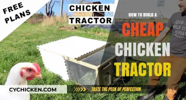 DIY Budget Chicken Tractor: Affordable Mobile Coop Building Guide