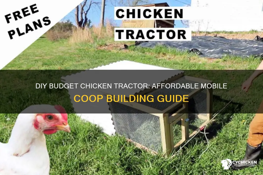 how to build a cheap chicken tractor