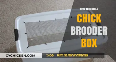 DIY Chick Brooder Box: Easy Steps for Happy, Healthy Chicks