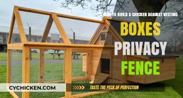 Building a Chicken Coop: Nesting Boxes and Privacy Fence