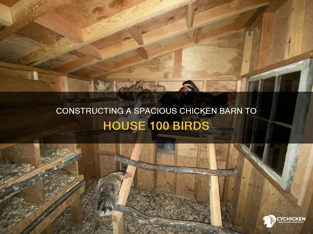 how to build a chicken barn for 100 chickens