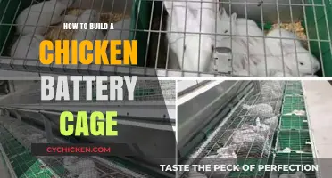 Step-by-Step Guide to Constructing Efficient Chicken Battery Cages