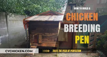 DIY Chicken Breeding Pen: Step-by-Step Guide for Healthy Flock Growth