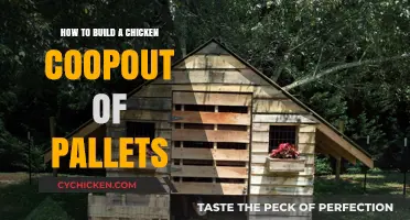 Building a Chicken Coop: Pallet Project Perfection