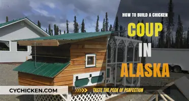 Building a Chicken Coop in Alaska's Unique Climate