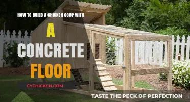 Building a Concrete-Floored Chicken Coop: A Step-by-Step Guide