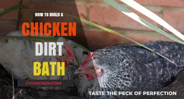 Create a Chicken Dust Bath: Simple DIY Guide for Happy Hens