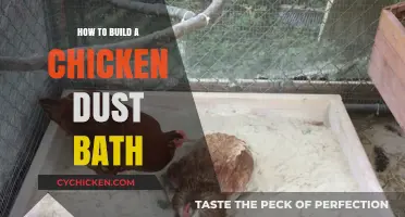 Create a Healthy Chicken Dust Bath: Simple DIY Guide