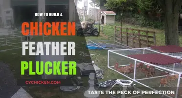 DIY Chicken Feather Plucker: Simple Steps for Efficient Poultry Processing